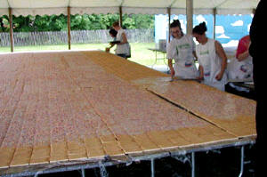 WORLD'S LARGEST POP TART , 30 ft by 40 ft, MADE FOR CHARITY